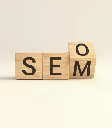 SEM Nedir?